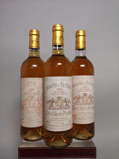 null 3 bottles SAUTERNES Cru d'ARCHE PUGNEAU - J.F. DANEY 2006 

Slightly stained...