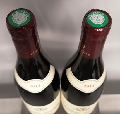  2 bouteilles CHAMBOLLE MUSIGNY - Domaine Louis HUELIN 2014 
Etiquette légèrement...