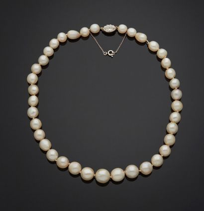 Attribué à CHAUMET, Paris. Vers 1908 Magnifique COLLIER de 38 perles fines blanches...
