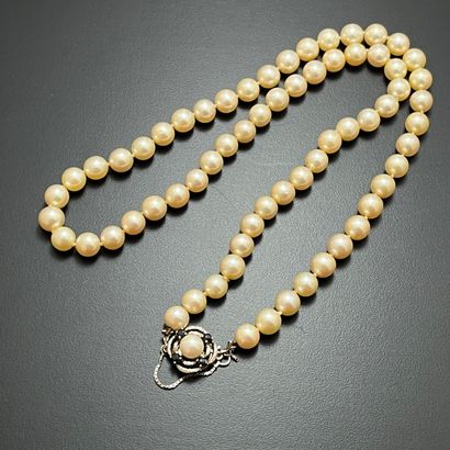 null COLLIER de perles de culture, fermoir en or gris 750 mm. 

Long. : 57,5 cm

Poids...