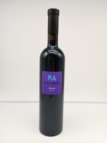 null 6 bottles Maury Mas Amiel 2014