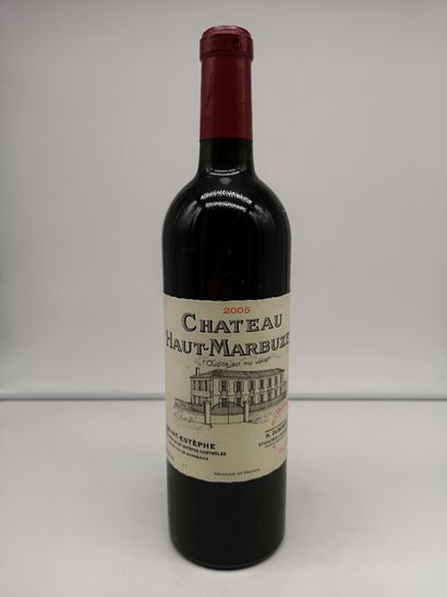 null 6 bottles Château Haut-Marbuzet 2005 - Saint-Estèphe