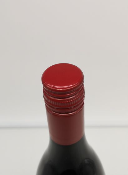 null 24 bottles Marcel Lapierre Vin de France Raisins gaulois 2017