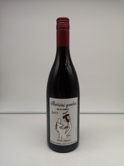 null 24 bouteilles Marcel Lapierre Vin de France Raisins gaulois 2017