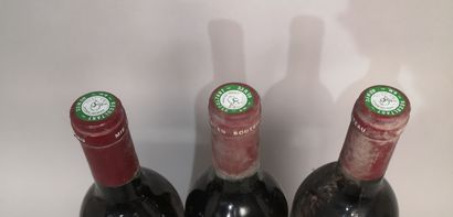 null 3 bouteilles Château CAMENSAC - 5e Gcc Haut Médoc 1989 

Étiquettes légèrement...