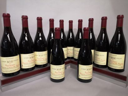 null 12 bottles HAUTES Côtes de NUIT - Domaine PHILIPP 2014