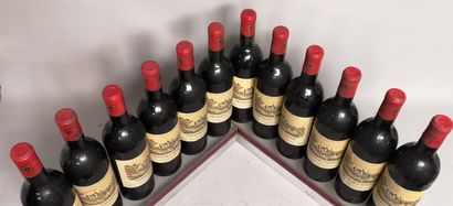 null 12 bouteilles Château D'AGASSAC - Haut Médoc 1966 

Étiquettes légèrement tachées....