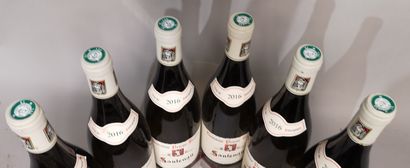 null 6 bouteilles SANTENAY Blanc - Domaine PRIEUR BRUNET 2016 

Étiquettes légèrement...