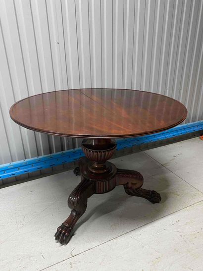 null Pedestal table in mahogany and mahogany veneer, it rests on three claw feet...