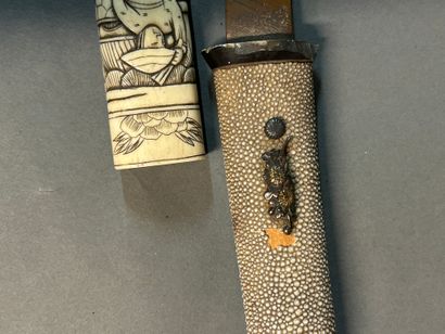null Japanese knife called Tanto.

Fuchi in horn (accidents).

Kashira in horn.

Tsuka...