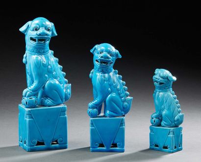 CHINE XXe siècle Trois chiens de Fô en porcelaine à glaçure bleu.
H. : de 15 à 25...