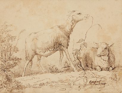 École HOLLANDAISE du XIXe siècle Two Sheep
Pen and brown ink
Signed lower right Rosa...