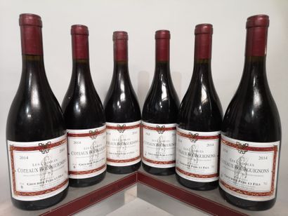 null 6 bouteilles COTEAUX BOURGUIGNONS "Les Cadoles" - GROUBIER P&F 2014