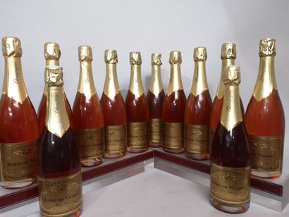 null 12 bottles CHAMPAGNE rosé - Robin de VICADET nm