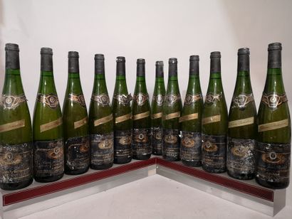 null 12 bouteilles ALSACE GEWURZTRAMINER KAEFFERKOPF - ADAM 1997 Étiquettes tachées...