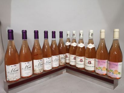 null 12 bouteilles VINS ROSE DIVERS 4 BOURGOGNE PRIEUR BRUNET 2015 et 8 SYRAH E....