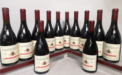 null 12 bouteilles COTEAUX BOURGUIGNONS "Cœur de Jeannette" - Guybout de FRAYTIERE...