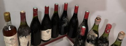 null 12 bouteilles VINS DIVERS DE FRANCEA VENDRE EN L'ETAT Chiroubles, Moulin-a-vent,...