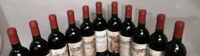 null 11 bouteilles Château PONTET CANET - 5e Gcc Pauillac 1985 Étiquettes tachées...