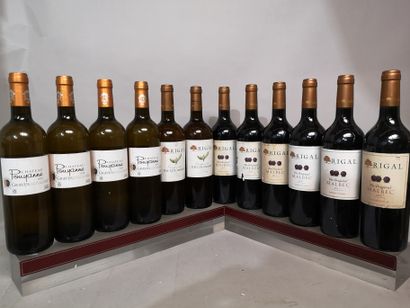 null 12 bouteilles VINS DIVERS DE FRANCE années 2000 (Malbec, Côtes de Gascogne,...