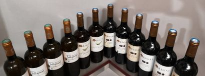null 12 bouteilles VINS DIVERS DE FRANCE années 2000 (Malbec, Côtes de Gascogne,...