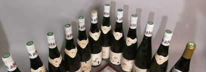 null 12 bouteilles ALSACE DIVERS A VENDRE EN L'ETAT 11 RIESLING LETZENBERG 1997 -...