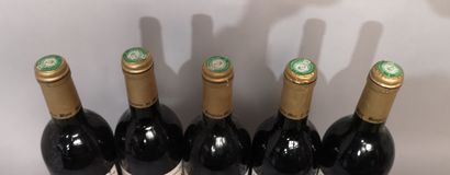 null 5 bouteilles BANYULS Hors d'âge Vieilli en Soléra - Domaine du MAS BLANC Étiquettes...