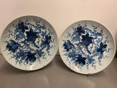 null CHINE
Deux coupes en porcelaine à décor bleu de fleurs.
Dim. : 28.5 cm