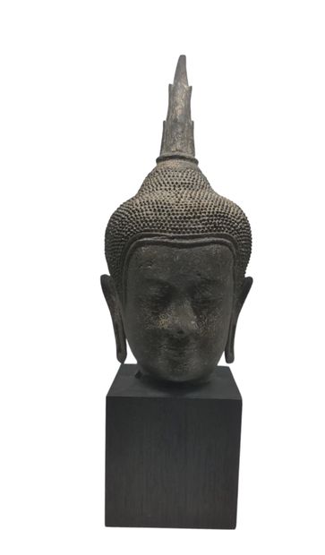 null TÊTE de Bouddha en bronze doré, en contemplation.
De style U-Thong, Thailand.
H...