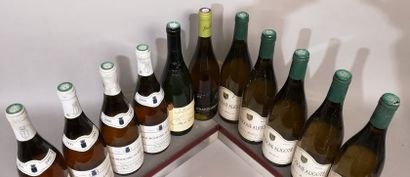 null 11 bouteilles VINS BLANCS DIVERS Années 2000 à 2010 BOURGOGNE, RHÔNE, Pays d'Oc....