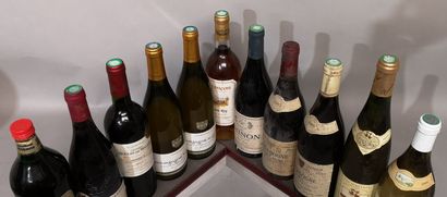 null 11 bouteilles VINS DIVERS DE FRANCE A VENDRE EN L'ETAT CHINON Olga RAFFAULTt,...