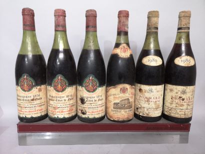 null 6 bouteilles BOURGOGNE DIVERS A VENDRE EN L'ETAT 3 HAUTES COTES DE NUITS 1976...