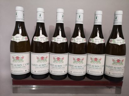 null 6 bouteilles SAINT AUBIN Blanc 1er cru "Les Champlots" - Gilles BOUTON Fils...