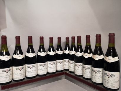 null 12 bouteilles LADOIX 1 cru "Bois-Roussot" et "Corvées" Gaston Pierre RAVAUT...