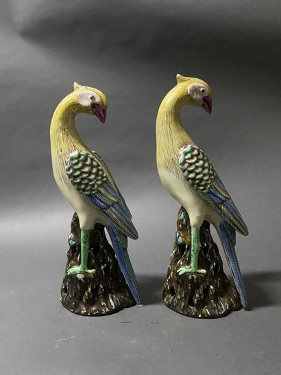 ASIE 
Grande paire d'oiseaux en porcelaine...