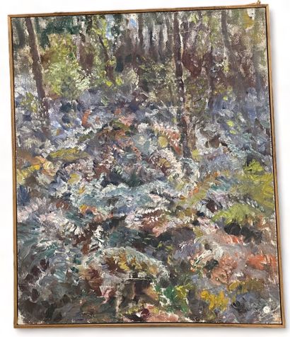 null 20th century school
Undergrowth.
Oil on canvas.
(trace of signature lower right)
Size...