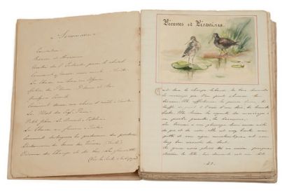 Cécil ALDIN (1870-1935) 
Chasseur tirant sur un lapin et son chien.
Aquarelle signée...