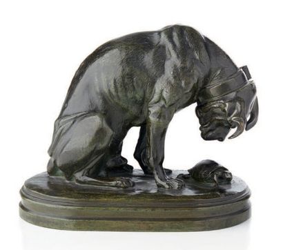 Alfred JACQUEMART (1824-1896) 
Un chien amusé par une tortue.
Epreuve en bronze à...
