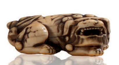 *JAPON 
Rare netsuké en ivoire sculpté à belle pâtine représentant un shishi couché.
18e/19e...