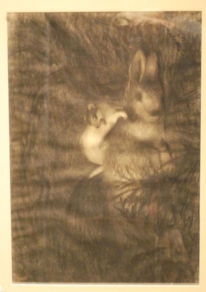 null Françoise 1907.

Fouine et lapin.

Dessin au fusain signé et daté.