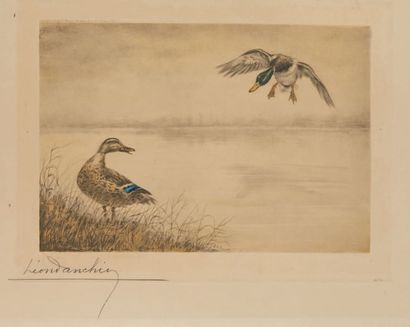 Léon DANCHIN (1887-1939) Canards colverts mâle et femelle.
Paire de lithographies...