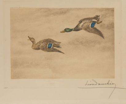 Léon DANCHIN (1887-1939) Canards colverts mâle et femelle.
Paire de lithographies...