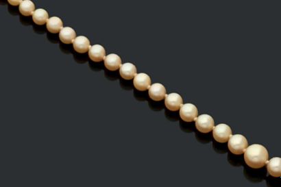 null Collier de perles de culture en chute, le fermoir en or jaune 18 K (750).
Long:...