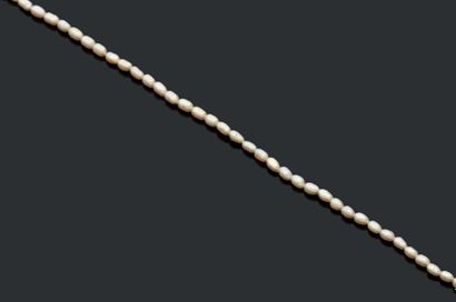 null Collier de perles d'eau douce ovales, fermoir en alliage d'or 14K (585).
Long:...