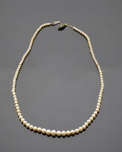 null Collier de perles en chute, fermoir en métal argenté et brillants.