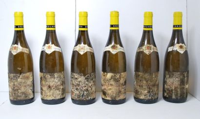 null 6 	bouteilles de 	Corton Charlemagne Grand Cru, 2004, Domaine Joseph Drouhin,...