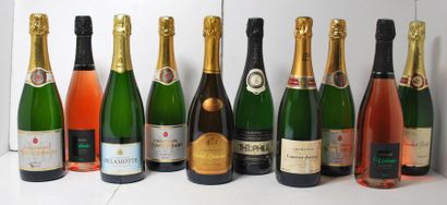 null Ensemble de 12 bouteilles :

- 1	 Champagne, 	1er cru				, Brochet Dolet, 	brut.

-...