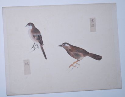 null Ensemble de quatre planches d'estampes chinoises figurant des oiseaux.
Dim....