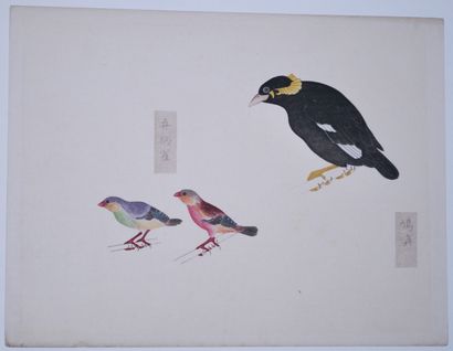 null Ensemble de quatre planches d'estampes chinoises figurant des oiseaux.
Dim....
