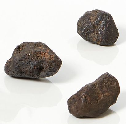 null Ensemble de trois petites météorites chondrites.
Poids: 196,6 g